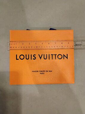 Louis Vuitton Paper Bag